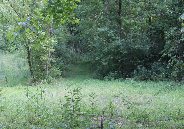 3rd image of 0 Patch Lane, Bethpage, TN 37022 | MLS# 2681379