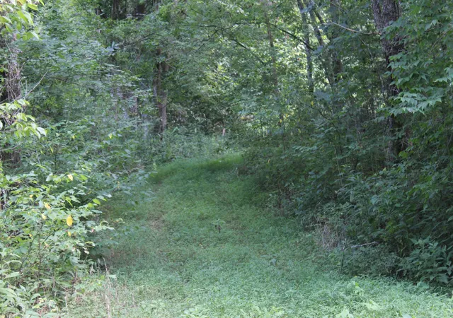 4th image of 0 Patch Lane, Bethpage, TN 37022 | MLS# 2681379