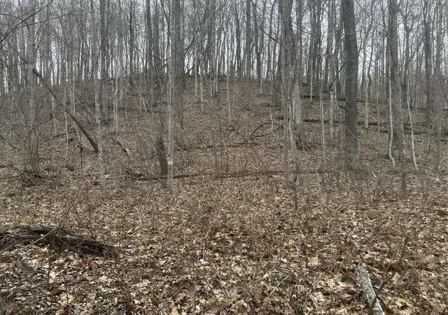 5th image of 0 Patch Lane, Bethpage, TN 37022 | MLS# 2681379