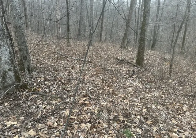 6th image of 0 Patch Lane, Bethpage, TN 37022 | MLS# 2681379