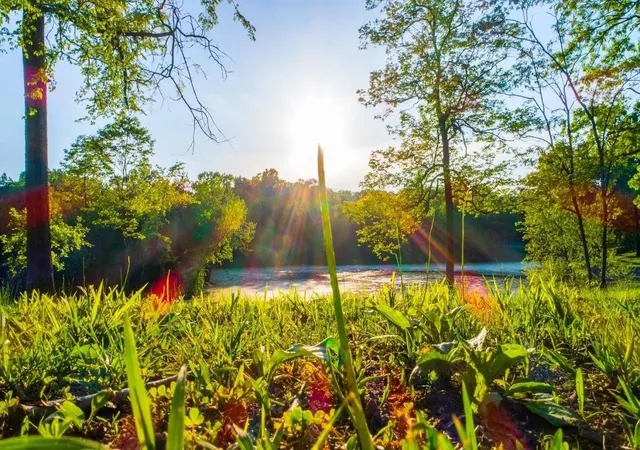 Land for sale at 0 Forest Retreat Rd, Hendersonville, TN 37075 | MLS# 2682819