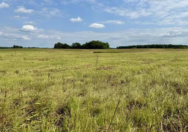 2nd image of 2058 Hwy 259, Portland, TN 37148 | MLS# 2691458