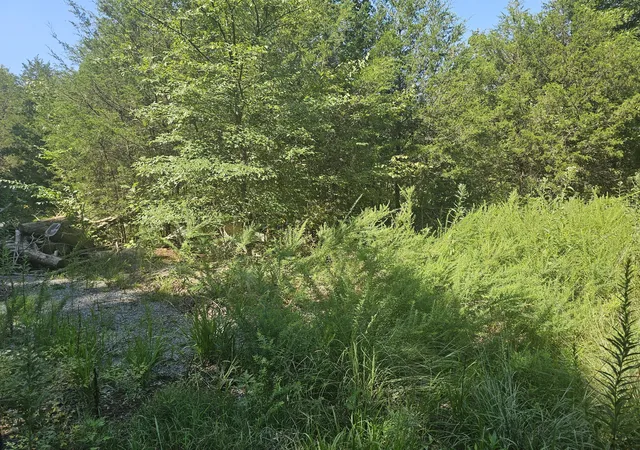 Homes for sale in Mount Juliet, TN | 0 Underwood Rd, Mount Juliet, TN 37122 | MLS# 2693682