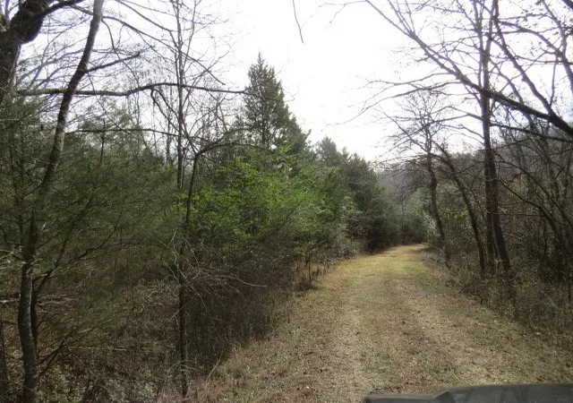 1st image of 958 Dollar Hollow Road, Pulaski, TN 38478 | MLS# 2697689
