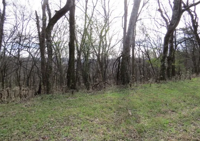4th image of 958 Dollar Hollow Road, Pulaski, TN 38478 | MLS# 2697689