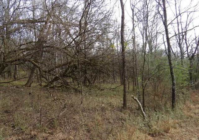 5th image of 958 Dollar Hollow Road, Pulaski, TN 38478 | MLS# 2697689