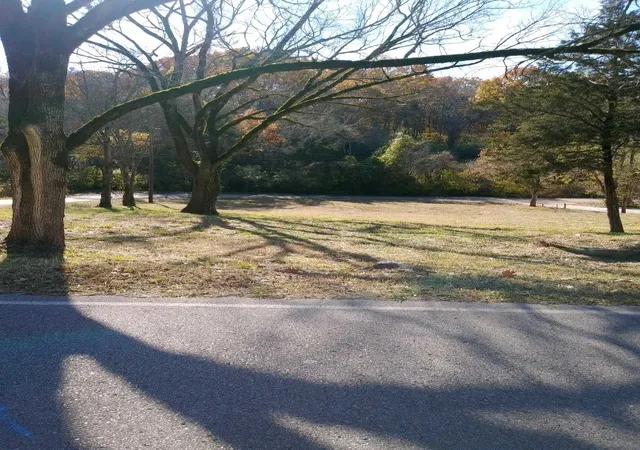 4th image of 0 Moss Rd, Antioch, TN 37013 | MLS# 2700544