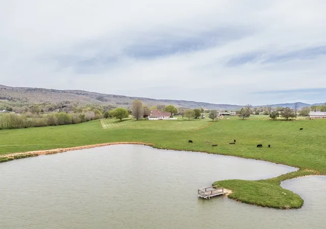 5th image of 233 Nine Mile Cross Rd W, Pikeville, TN 37367 | MLS# 2703729