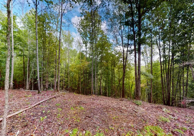 Homes for sale in Linden, TN | 352 Briarwood Dr, Linden, TN 37096 | MLS# 2705658