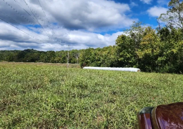 2nd image of 53 Grundy Quarles Hwy N, Gainesboro, TN 38562 | MLS# 2706335