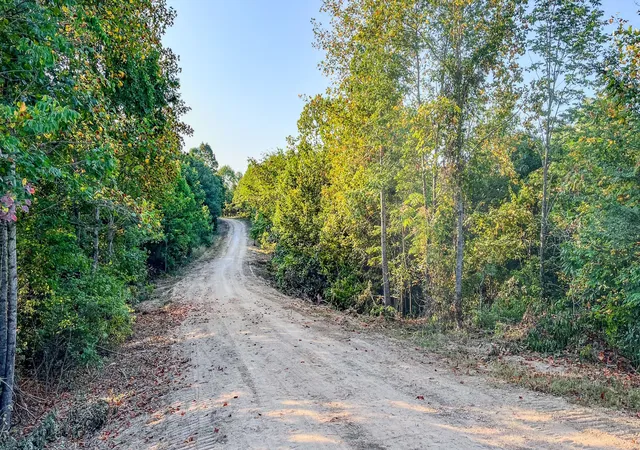 Photo 17 of Land for sale at 0 Highway 232 S, Stewart, TN 37175 | MLS# 2706646 | Listing updated on 2025-10-11