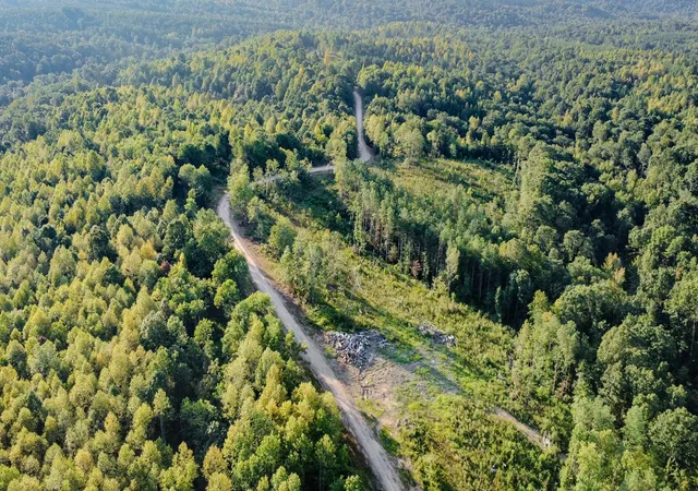 Photo 3 of Land for sale at 0 Highway 232 S, Stewart, TN 37175 | MLS# 2706646 | Listing updated on 2025-10-11