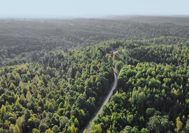 Photo 4 of Land for sale at 0 Highway 232 S, Stewart, TN 37175 | MLS# 2706646 | Listing updated on 2025-10-11
