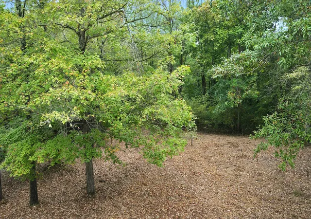 3rd image of 0 Bloom Landing Rd, Charlotte, TN 37036 | MLS# 2708603