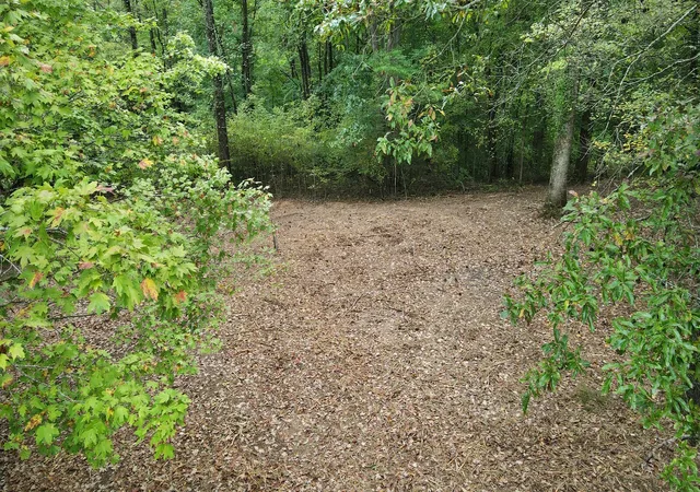 4th image of 0 Bloom Landing Rd, Charlotte, TN 37036 | MLS# 2708603