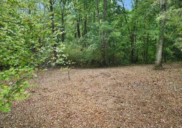 5th image of 0 Bloom Landing Rd, Charlotte, TN 37036 | MLS# 2708603