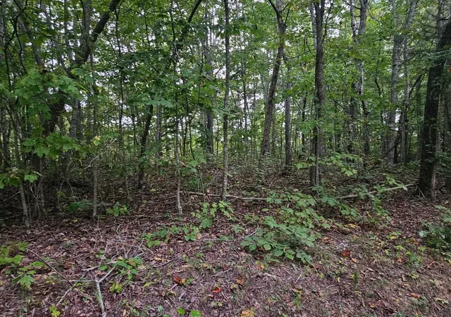 Homes for sale in Wilder, TN | 0 Sells Cemetery Road, Wilder, TN 38589 | MLS# 2707337