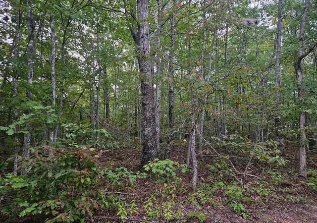 Homes for sale in Wilder, TN | 0 Sells Cemetery Road, Wilder, TN 38589 | MLS# 2707337