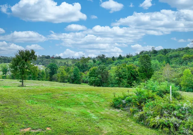 1st image of 1384 Cliff Amos Rd, Spring Hill, TN 37174 | MLS# 3319124