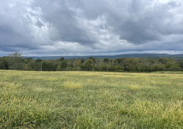 3rd image of 13 Upper East Valley Road, Pikeville, TN 37367 | MLS# 2794501