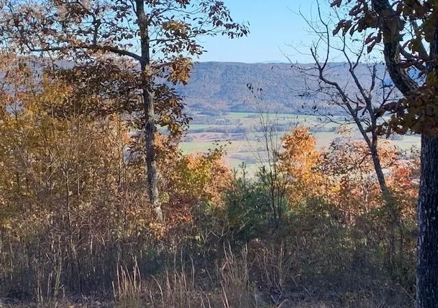 16th image of 26 Gray Rock Vw, Pikeville, TN 37367 | MLS# 2946406