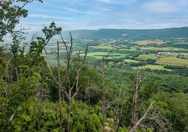 3rd image of 26 Gray Rock Vw, Pikeville, TN 37367 | MLS# 2946406