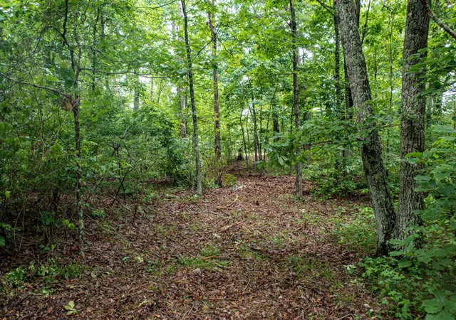 4th image of 26 Gray Rock Vw, Pikeville, TN 37367 | MLS# 2946406