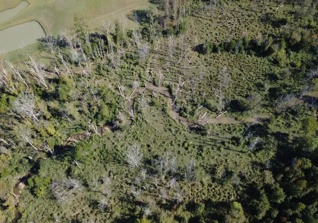 Photo 3 of Land for sale at 0 No Pone Valley Road, Georgetown, TN 37336 | MLS# 3057200 | Listing updated on 2026-09-22