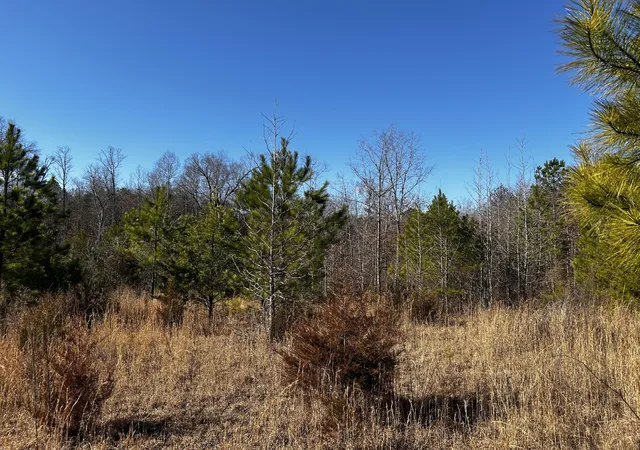 Photo 3 of House for sale at 0 No Pone Valley Road, Georgetown, TN 37336 | MLS# 3057200 | Listing updated on 2026-09-22