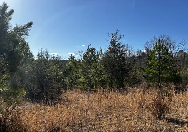Photo 4 of House for sale at 0 No Pone Valley Road, Georgetown, TN 37336 | MLS# 3057200 | Listing updated on 2026-09-22