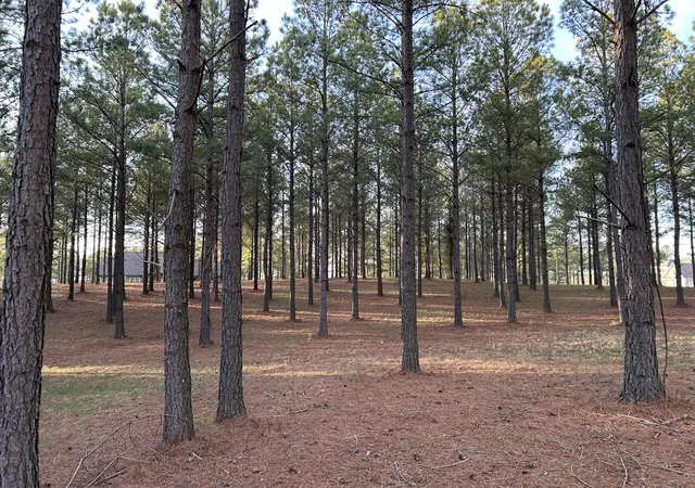 5th image of 362 Cumberland Circle, Jasper, TN 37347 | MLS# 2883036