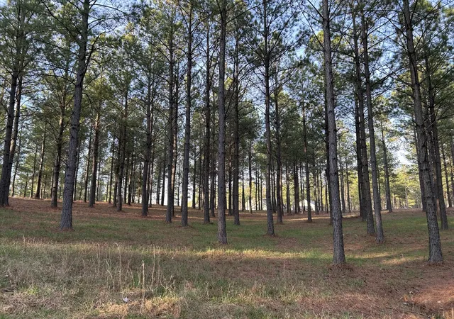 1st image of 362 Cumberland Circle, Jasper, TN 37347 | MLS# 2883036