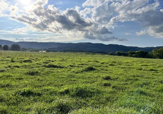 3rd image of 0 Old State Hwy 28, Pikeville, TN 37367 | MLS# 2929823
