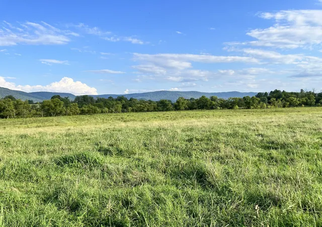 9th image of 0 Old State Hwy 28, Pikeville, TN 37367 | MLS# 2929823