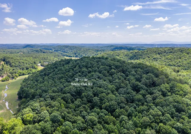 4th image of 1636 White Oak Road Nw, Cleveland, TN 37312 | MLS# 3224413