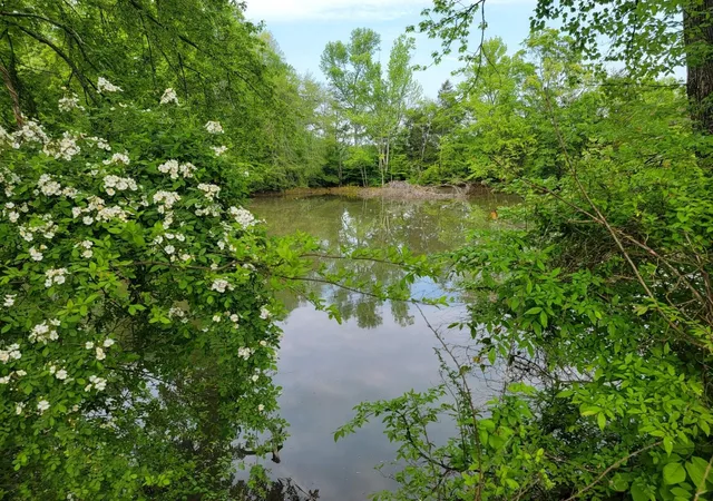 Photo 3 of Land for sale at 0 Scoggins Lane, Dayton, TN 37321 | MLS# 3304356 | Listing updated on 2026-08-13