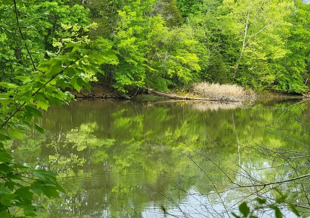 Photo 4 of Land for sale at 0 Scoggins Lane, Dayton, TN 37321 | MLS# 3304356 | Listing updated on 2026-08-13