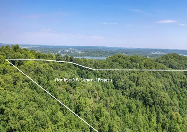 4th image of 1125 Scenic River Road 7167 Acres, Madisonville, TN 37354 | MLS# 3181669