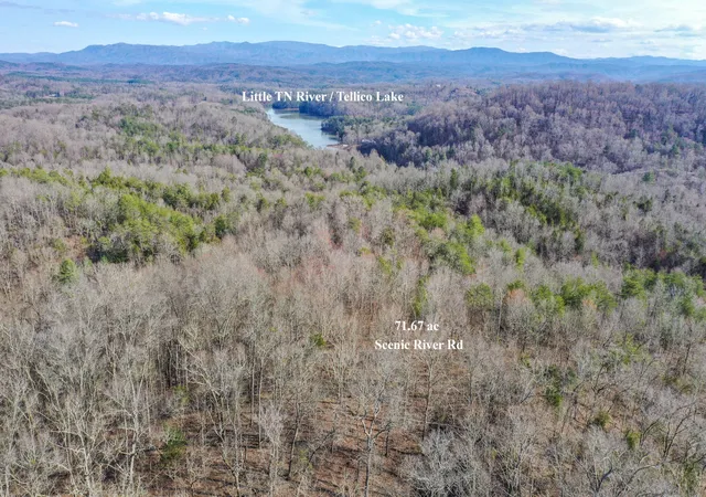 46th image of 1125 Scenic River Road 7167 Acres, Madisonville, TN 37354 | MLS# 3181669