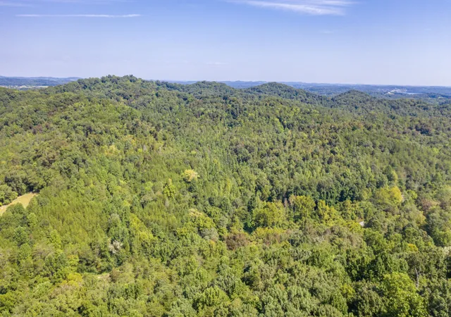 5th image of 1125 Scenic River Road 7167 Acres, Madisonville, TN 37354 | MLS# 3181669
