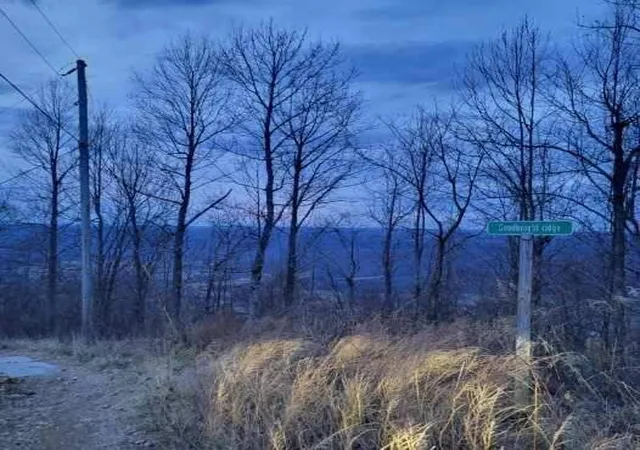3rd image of 0 Little Bedford Road, Spring City, TN 37381 | MLS# 3315515