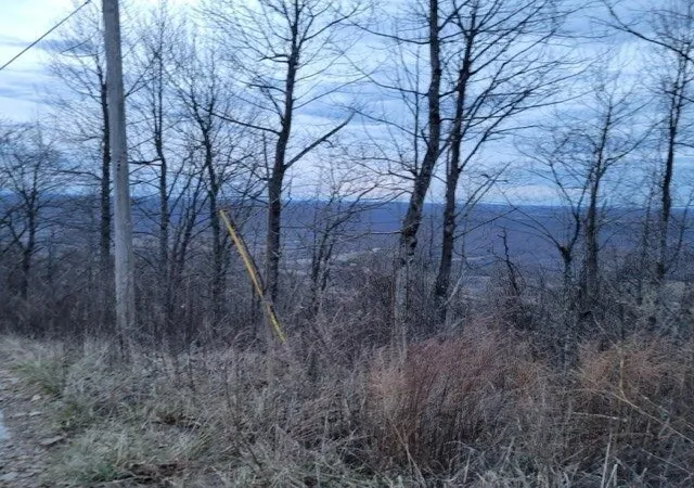 4th image of 0 Little Bedford Road, Spring City, TN 37381 | MLS# 3315515