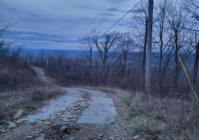 5th image of 0 Little Bedford Road, Spring City, TN 37381 | MLS# 3315515