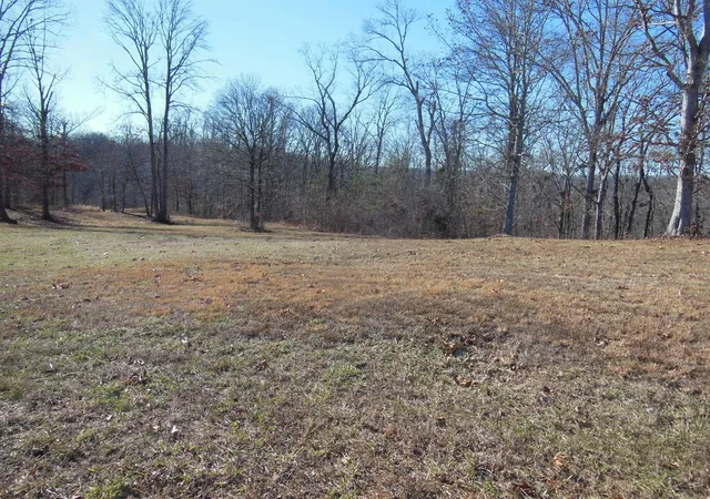 Homes for sale in Spring City, TN | 140 Quail Hollow Cove, Spring City, TN 37381 | MLS# 3216234