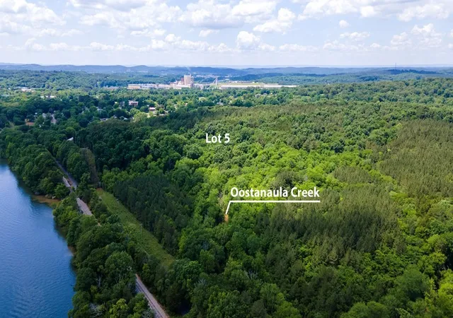 Homes for sale in Calhoun, TN | 5 State Hwy 163, Calhoun, TN 37309 | MLS# 3224457