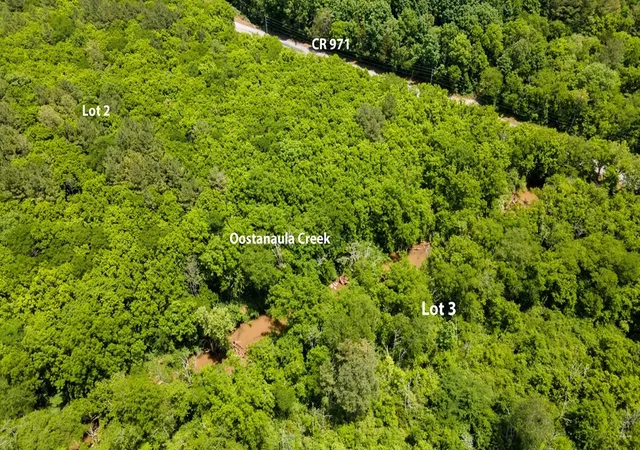 Homes for sale in Calhoun, TN | 3 State Hwy 163, Calhoun, TN 37309 | MLS# 3224455
