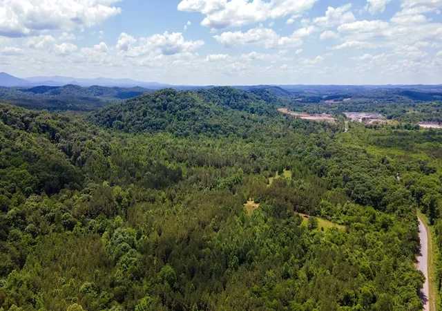 Homes for sale in Calhoun, TN | 1 State Hwy 163, Calhoun, TN 37309 | MLS# 3224454