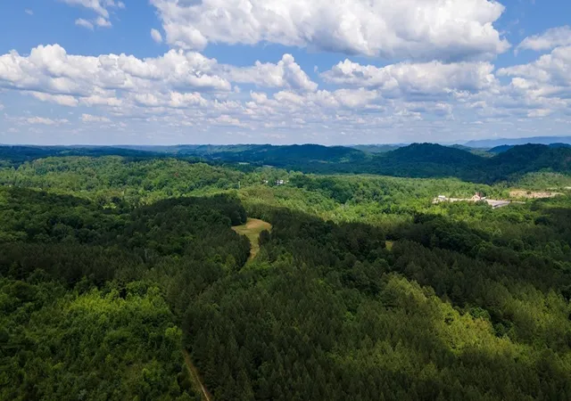Homes for sale in Calhoun, TN | 4 State Hwy 163, Calhoun, TN 37309 | MLS# 3224467