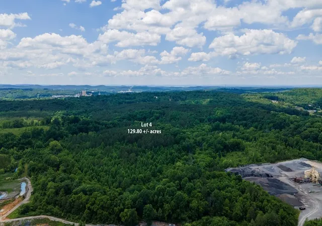 Homes for sale in Calhoun, TN | 4 State Hwy 163, Calhoun, TN 37309 | MLS# 3224467