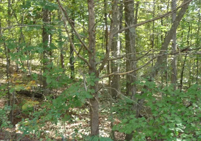 1st image of 0 Goodwin Rd/ Walker Brow Ridge, Cleveland, TN 37312 | MLS# 3337072
